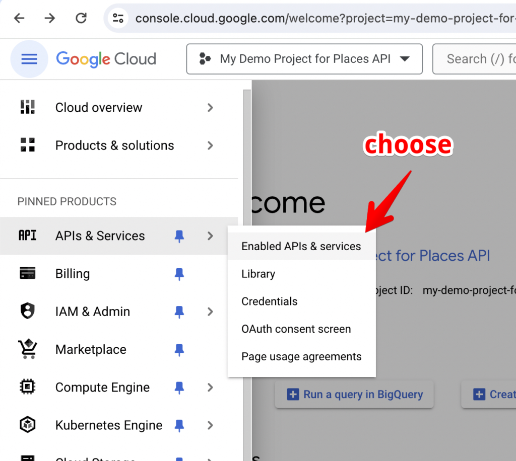 How to get Google places API key for Automatic Plugin - ValvePress